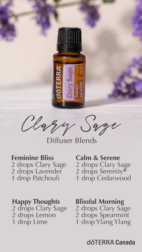 Doterra Clary Sage, Clary Sage Doterra, Essential Oils For Chakras, Candle Recipes, Doterra Diffuser, Doterra Diffuser Blends, Clary Sage Oil, Doterra Essential Oils Recipes, Clary Sage Essential Oil