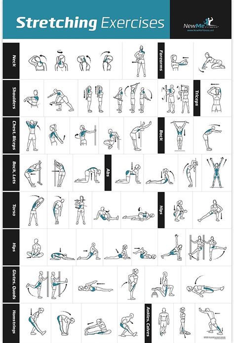 Exercise Poster, Post Workout Stretches, Stretching Exercise, Fitness Studio Training, Gym Antrenmanları, Latihan Kardio, Exercise Chart, Workout Posters, Mobility Exercises