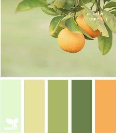 Color Palate, Design Seeds, Orange Tree, Green Kitchen, Color Stories, Green And Yellow, Colour Schemes, Ideas Kitchen, Color Pallets