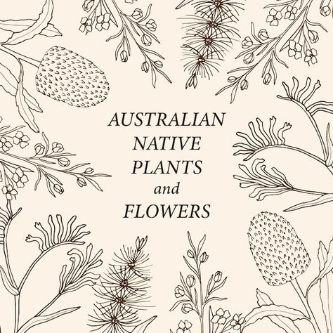 Nature Pottery, Native Drawings, Uterus Art, Plant Drawings, Visual Essay, Plant Illustrations, Flowers Border, Plant Doodle, Vector Line Art