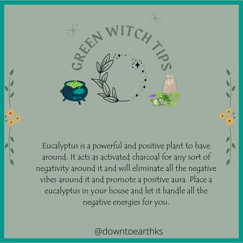 Green Witch Tips, Spells Jars, Witch Info, Eh Poems, Green Witch Aesthetic, Earth Witch, Witch Symbols, Witch Painting, Witch Tools