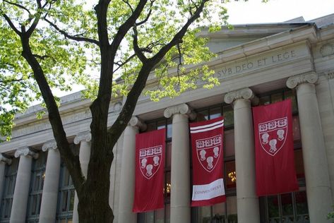 Harvard Application, The Kennedys, Teacher Evaluation, Admissions Office, Harvard Graduate, Harvard College, School Songs, Harvard Law, Harvard Law School