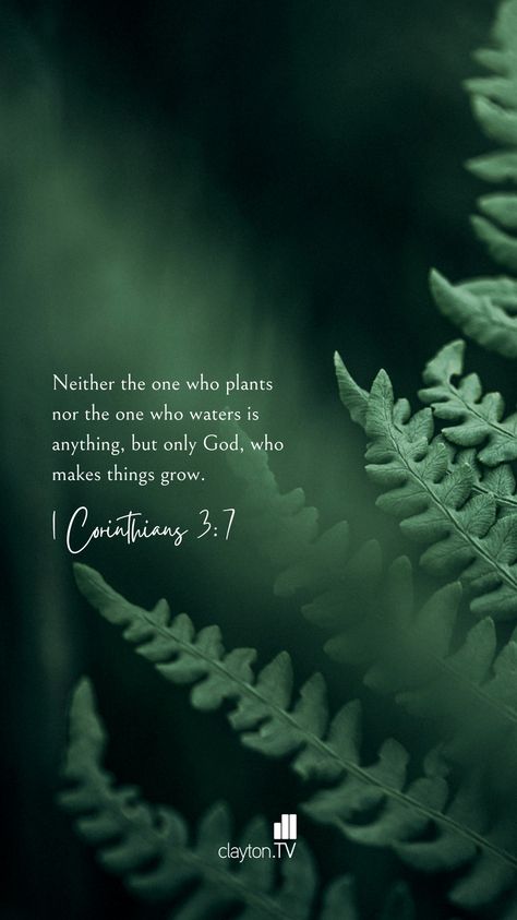 1 corinthians god jesus christian nature green wallpaper lockscreen bible verse quotes Bible Verse Wallpaper Green, Green Bible Verse Wallpaper, Green Lockscreen Aesthetic, Green Wallpaper Lockscreen, Nature Bible Verses, Bible Verse Lockscreen, Nature Green Wallpaper, Apothecary Herbs, Bible Verses About Nature