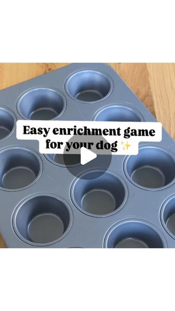 At Home Dog Enrichment, Dog Enrichment Toys, Puppy Enrichment Ideas, Enrichment For Dogs, Canine Enrichment, Dog Enrichment Ideas Diy, Enrichment Activities For Dogs, Dog Brain Games Diy Enrichment Activities, Enrichment Games For Dogs