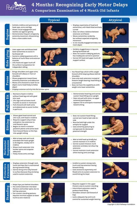 Check out our 4 Month Old Baby Typical and Atypical Motor Development reference guide includes a breakdown of the eight positions healthcare providers use to determine if intervention is needed, and what parents can look for in baby’s development. Head over to Pathways.org to download and print the handout, which is available in multiple languages! #babydevelopment #motordevelopment #motorskills #grossmotor #pediatrictherapy #4monthold #physicaltherapy 3 Month Old Development, 3-4 Month Milestones, Infant Stretches, 3-4 Month Old Activities, 5 Month Baby Activities, Infant Exercises, 4 Month Old Milestones, 4 Month Old Baby Milestones, 4 Month Milestones