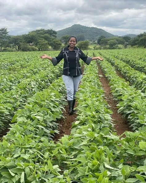 AGRICULTURE should not be looked at just as a Way of Life but much as as Way of Profit Making. #InvestWisely❗ Agriculture Photos, Farming Ideas, Hydroponic Gardening, A Way Of Life, Future Life, Inspiration Art, Zambia, Garden Planning, Hydroponics