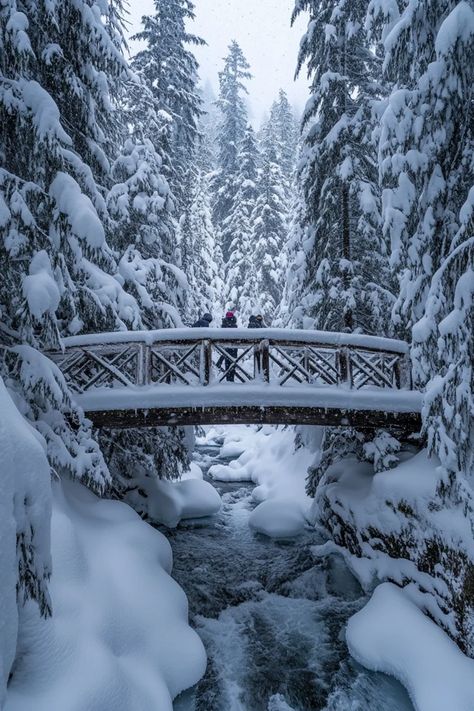 "❄️🏞️ Experience the magic of a winter wonderland in Whistler, Canada! From powdery snow to cozy lodges, discover everything you need for the perfect snowy escape. Swipe for your next snowy adventure! ⛷️🌨️ #Whistler #WinterWonderland #SnowFun" Winter In Alaska, Canada Aesthetic Winter, Whistler Aesthetic, Whistler Canada Winter, Canada Wonderland, Cold Vacation, Whistler Winter, Canada Whistler, Snowy Escape