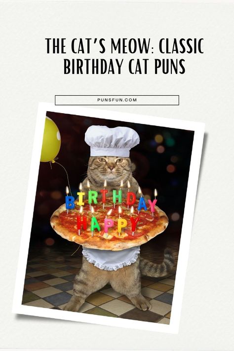 Visit Website Cat Lover Birthday Wishes, Cat Birthday Wishes Funny Hilarious, Funny Cat Birthday Wishes, Cat Pun Birthday Card, Cat Themed Birthday Cards, Cat Birthday Wishes, Puns Funny, Birthday Puns, Birthday Jokes