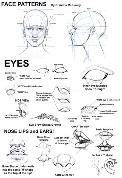 Drawing faces How To Draw Eyes, 얼굴 드로잉, Draw Eyes, Drawing Hair, 얼굴 그리기, Lips Drawing, Basic Drawing, Seni Cat Air, 인물 드로잉