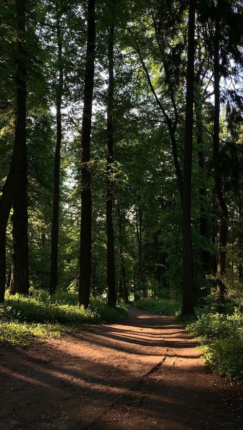 Dark Spring Aesthetic, Night Walking Aesthetic, Black And Purple Wallpaper, Spain Aesthetic, Harry Styles Poster, New Movies To Watch, Forest View, Porsche 964, Forest Road