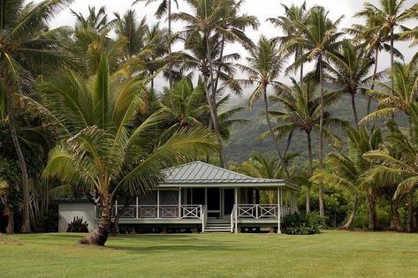 Grains Of Paradise, Hawaiian House, Hawaii House, Hawaiian Homes, Tropical Architecture, Hawaii Homes, Beach Shack, Island House, Tropical House