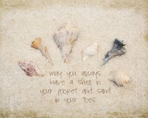 seashell quotes | Beach quote seashell and sand photograph by MaritebeePhotography, $25 ... Coastal Sayings, Seashells Quote, Beachy Quotes, Paradise Beaches, Pocket Sand, Door Quotes, Sand Quotes, Beach Therapy, Beach Things