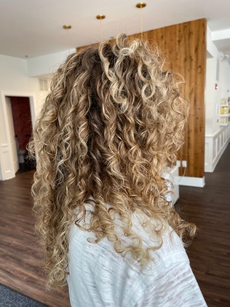 Fall Blonde Balayage Curly Hair, Root Melt Blonde Curly Hair, Curly Blonde Balayage Curls, Blond Curly Balayage, Blonde Hilights Curly Hair, Naturally Curly Blonde Balayage, Blonde Hair With Lowlights Curly, Ash Blonde Balayage Curly Hair Natural, Balayage Hair Curly Blonde