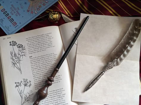 A desktop with the contents of a book open to a description of plants and their uses with a wand laying it across it on one side of the open book. Along with some parchment on and a quill placed on top of the otherside of the opened book. At the top a Gryffindor tie can be seen draped along with a golden snitch with its wings open laying upon it and in the top left corner a pamphlet for the qudditch world cup lies. Hogwarts Student, Student Aesthetic, The Desk, A Student, Homework, Hogwarts, Harry Potter, Desk