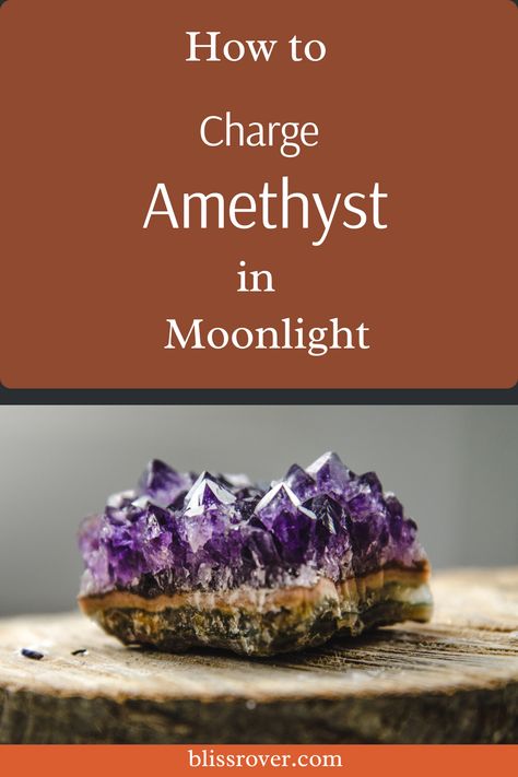 Charge your amethyst crystals in the gentle glow of moonlight to enhance their natural energy and restore balance to your life. Simply place your amethyst stones outside or by a window during a full moon night, allowing them to absorb the celestial energy. Embrace this ancient practice and feel the soothing effects of charged amethyst in your daily routines for an elevated sense of well-being and peace. Enhance your crystal healing experience with this simple yet powerful ritual tonight! Charging Amethyst Crystals, Charge Crystals Full Moon, Charging Crystals Full Moon, Crystals Full Moon, Charging Crystals, Celestial Energy, Crystal Uses, Full Moon Night, Moon Journal