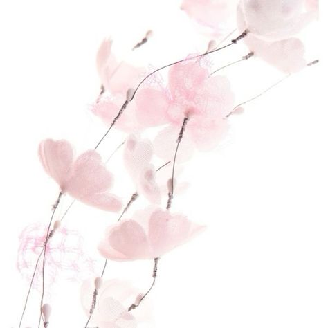 Soft Pink Theme, Flower Icons, Baby Pink Aesthetic, Pink Highlights, Sakura Flower, Pink Themes, Ethereal Art, Iphone Icon, App Icon Design