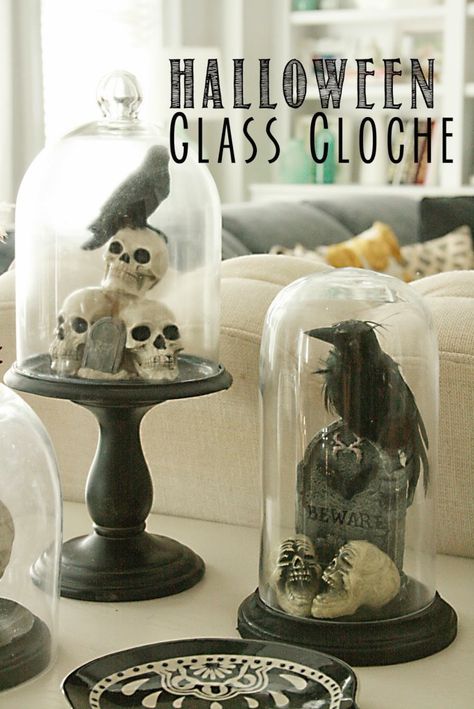 DIY: Halloween Glass Cloche - Darling Darleen | A Lifestyle Design ... Floral Terrarium, Halloween Cloche, Glass Cloches, Läskig Halloween, Diy Halloween Dekoration, Modern Halloween Decor, Decoration Evenementielle, Diy Halloween Decor, Modern Halloween