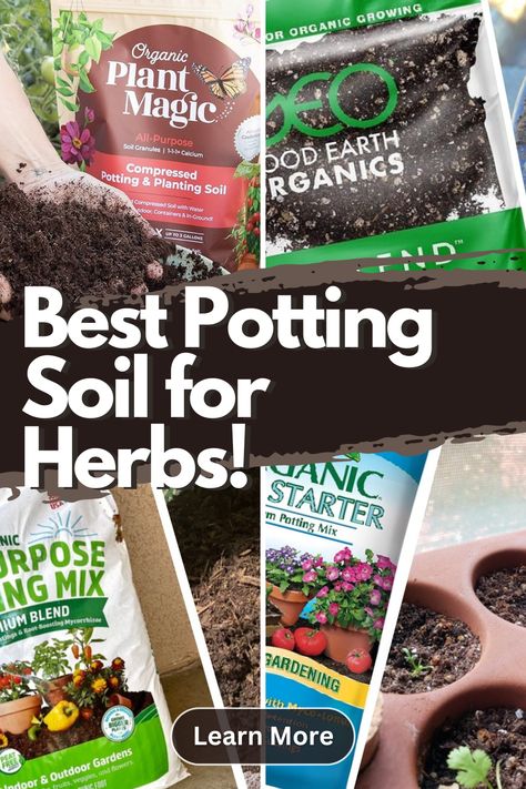 Best potting soil for herbs Growing Herbs Inside, Growing Herbs At Home, Growing Herbs In Pots, Herb Garden Boxes, Herbs At Home, Outdoor Herb Garden, Grow Herbs, Garden Growing, Organic Soil