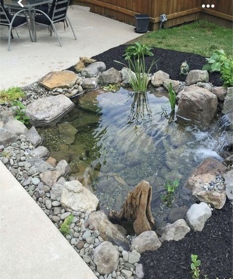 Pond Garden Ideas, Rain Garden Design, Taman Diy, Kolam Koi, Backyard Ponds, Taman Air, Pond Garden, Garden Ponds, Pelan Rumah