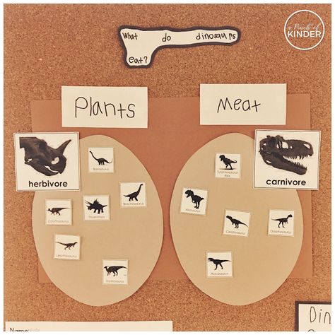 Answering inquiry questions in Kindergarten: What do dinosaurs eat? Sorting herbivores and carnivores during a whole group lesson! #dinosaur #dinosaurs #dinosaurinquiry #inquiry #inquiryinkindergarten #kindergarten #inquirylesson Dinosaurs Eyfs, Dinosaur Kindergarten, Dinosaurs Kindergarten, Dinosaur Unit Study, Dinosaur Lesson, Dinosaur Theme Preschool, Dinosaur Activities Preschool, Dinosaur Projects, Dinosaur Play