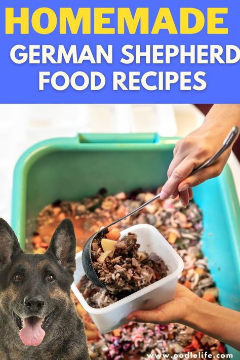 Check out some of our favorite DIY German Shepherd food recipes below for some easy step-by-step inspiration. Homemade Dog Food For Gsd, Homemade Dog Food German Shepherd, Best Food For German Shepherds, Homemade Dog Food For German Shepards, Puppy Meals Food Recipes, German Shepherd Food Recipes Homemade Dog, German Shepherd Food Recipes, German Shepherd Food, Dog Training Treats Recipe