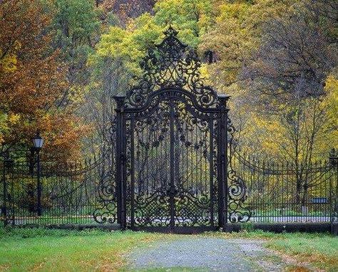 The old witches gate. Wrought Iron Gates, Iron Fence, Iron Gates, Fence Gate, Backyard Fences, Iron Gate, Garden Gate, Entrance Gates, Beautiful Doors