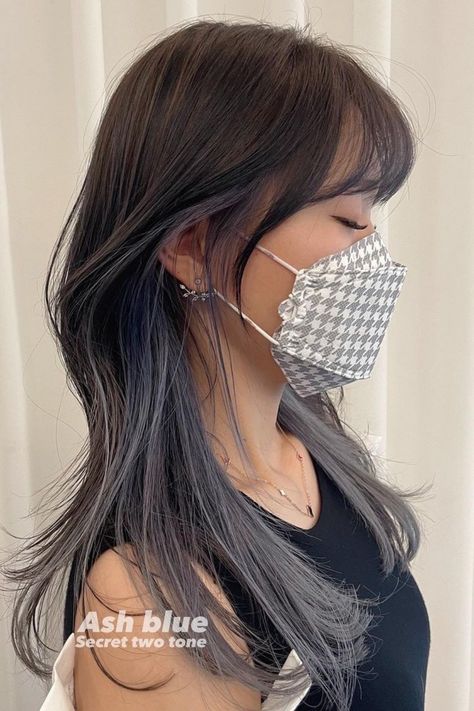 Dyed Korean Hair, Secret Ombre Hair, Two Tone Hair Asian, Korean Hair 2023, Secret Two Tone Hair Color, Ash Peekaboo Hair, Korean Underdye Hair, Inner Layer Hair Dye, Japanese Hair Dye Colour