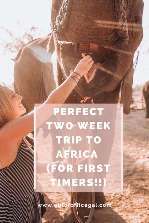 South Africa 2 Week Itinerary, Africa Trip Itinerary, South Africa Itinerary 10 Days, South Africa Trip, South Africa Bucket List, South Africa Itinerary, South Africa Vacation, African Vacation, Africa Honeymoon