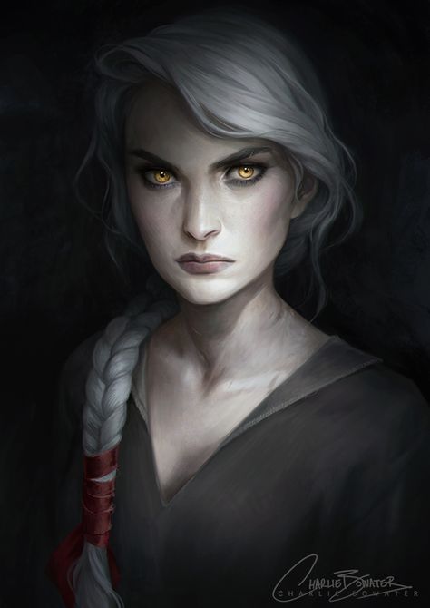 Queen Of Shadows, Personaje Fantasy, Heroic Fantasy, Throne Of Glass Series, Fantasy Portraits, The Elder Scrolls, Anime Wolf, Throne Of Glass, Arte Fantasy