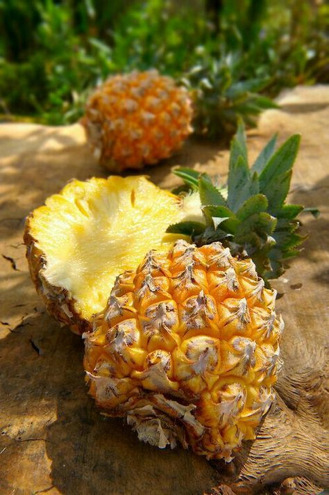 Pineapple Aesthetic, Pineapple Photography, Fruit Images, Pineapple Photo, Cooked Pineapple, Cut Pineapple, Pineapple Water, Fruit Kabobs, Healthy Food Inspiration