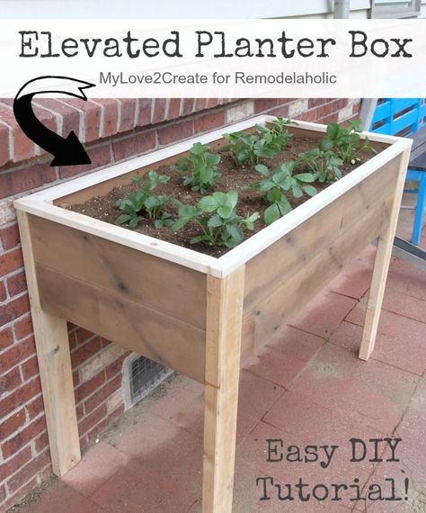 This DIY elevated planter box is raised up off the ground, so you can have your fresh foods AND save your back and knees this summer! Herb Garden Boxes, Raised Herb Garden, Yard Planters, Above Ground Garden, Elevated Planter, Planter Box Plans, Elevated Planter Box, Raised Garden Bed Plans, Garden Boxes Diy