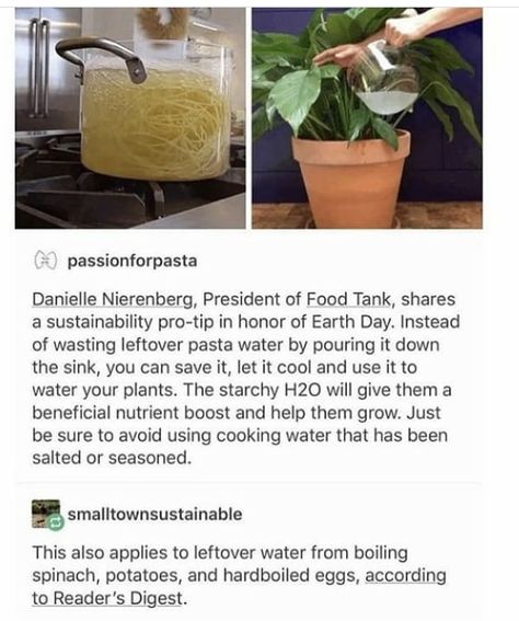 Pasta Water, Garden Idea, Diy Things, Plant Mom, Terrace Garden, Save Earth, Plant Lady, Diy Easy, Useful Life Hacks