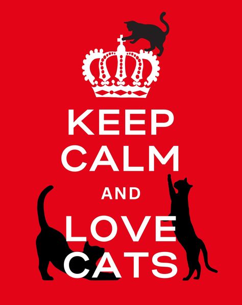 Keep Calm and Love Cats #keepcalm #lovecats #purrpawrazzi #catart Keep Calm Quotes, Calm Quotes, Keep Calm And Love, Animal Friends, Animals Friends, Cat Art, Keep Calm, Dog Cat, Memes