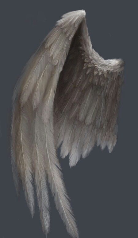 Angel Wing Artwork, Wings Artwork, Angel Wings Painting, Angel Wings Drawing, Angel Wings Art, Wings Drawing, Angel Wings Tattoo, Angel Artwork, Angel Drawing