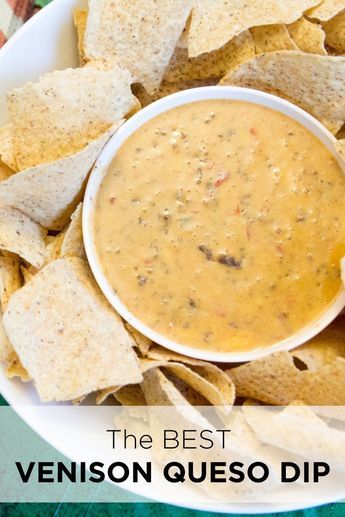 Venison Queso Dip, Venison Queso, Best Queso Recipe, The Best Queso, Best Queso, Venison Burgers, Deer Recipes, Queso Recipe, Game Day Party