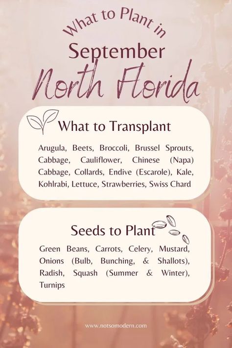 What to Plant in September: North Florida What To Plant In September, Nutritious Vegetables, Vegetable Garden Ideas, Onion Bulbs, Pinterest Garden, North Florida, Napa Cabbage, Plant Tags, Garden Animals