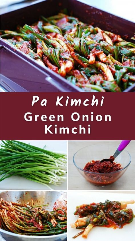 Pa Kimchi (Green Onion Kimchi) Green Onion Kimchi, Onion Kimchi, Vegan Kimchi Recipe, Vegetarian Kimchi, Quick Kimchi, Korean Food Side Dishes, Easy Kimchi, Green Onions Recipes, Scallions Recipes