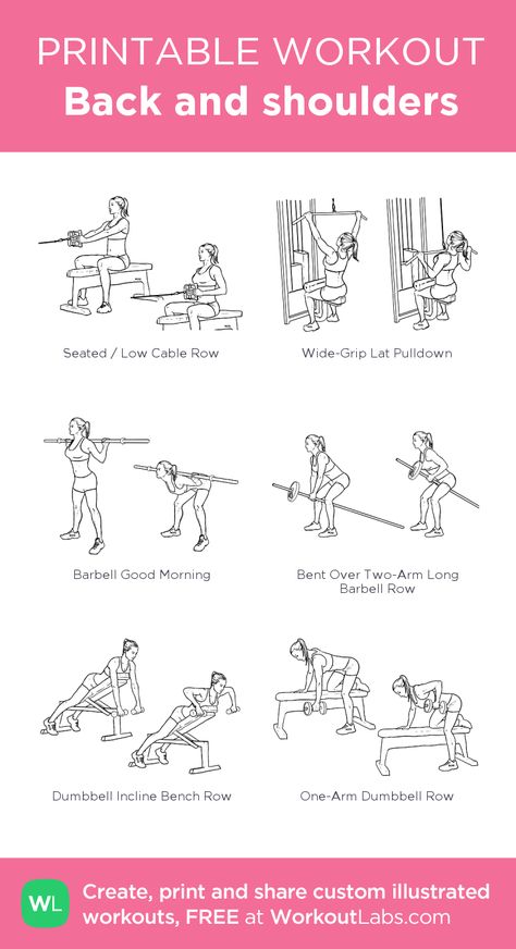 Back Cable Workout, Weekly Gym Workouts, Chest And Shoulder Workout, Shoulder Gym, Back And Shoulder Workout, Workout Labs, Weight Workouts, Workout Program Gym, Gym Workout Plan For Women