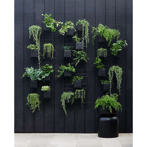 Faux plant wall