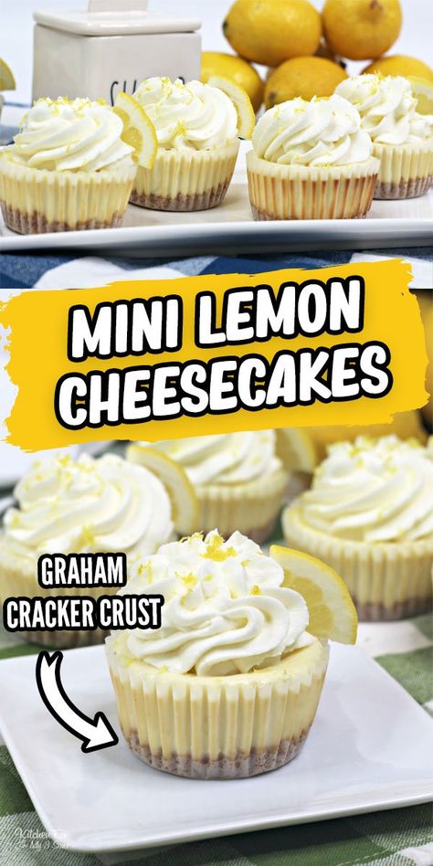 Mini Lemon Cheesecake, Lemon Cheesecakes, Mini Cherry Cheesecakes, Mini Lemon Cheesecakes, Desserts Cheesecake, Individual Cheesecakes, Lemon Meringue Cheesecake, Lemon Cheesecake Recipes, No Bake Lemon Cheesecake