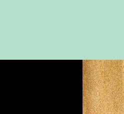 Camel Color Palette, Black And Gold Salon, Black And Gold Office, Black Gold Nails, Salon Design Ideas, Mint Green Walls, Mint Rooms, Beachy Colors, Verde Jade