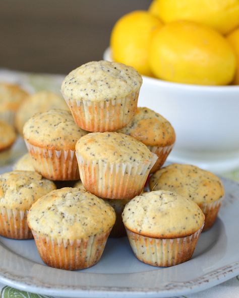 Mini Muffin Recipe, Lemon Poppy Seed Muffins, Seed Muffins, Poppy Seed Muffins, Lemon Poppyseed Muffins, Lemon Blueberry Muffins, Lemon Poppy Seed, Muffin Tin Recipes, Lemon Muffins