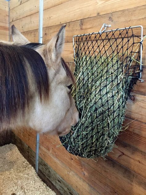 A hay net attached to an easily collapsible frame makes for easy filling. Collapsible Wall, Hay Feeder For Horses, Horse Feeder, Equestrian Clothes, Horse Nutrition, Horse Paddock, Horse Hay, Horse Barn Ideas Stables, Horse Barn Designs