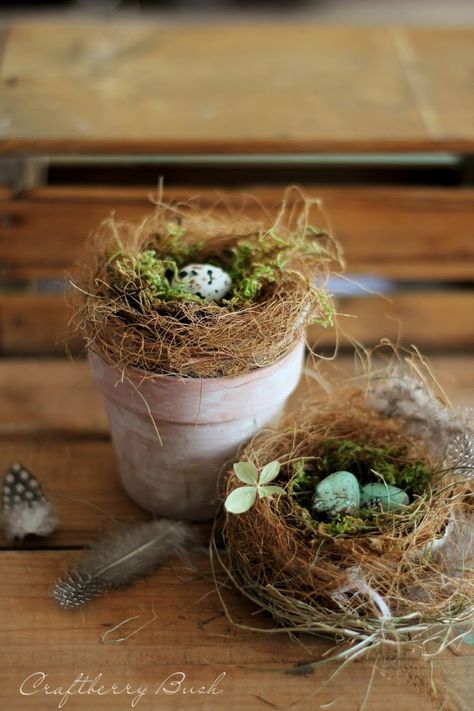 18 DIY Ideas for Rustic Easter Decor - Page 20 of 20 - Oster Dekor, Bird Nest Craft, Birds Nests, Rustic Easter Decor, Diy Birds, Spring Easter Decor, Easter Time, Bird Cages, Deco Floral