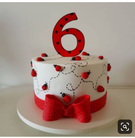 Bug Birthday Cakes, Ladybird Cake, Ladybug Cakes, Bug Cake, Ladybug Cake, Owl Cakes, 5th Birthday Cake, Ladybug Birthday Party, Cinderella Cake