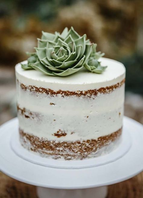 A spring time tea party with Copy Cat Chic and Cost Plus World Market. Succulent Wedding Cakes, Succulent Cake, Naked Cakes, Succulent Wedding, Wedding Cake Inspiration, Cupcake Cake, Wedding Desserts, Pretty Cakes