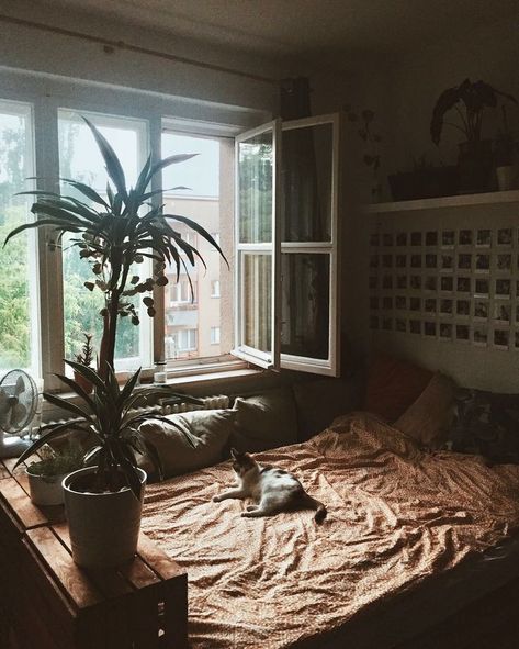 super comfortable bed next to a window Vibey Room, Comfortable Bed, Window Bed, House Room, Dream Rooms, Room Aesthetic, Im Happy, Bed Comforters, Dream Room