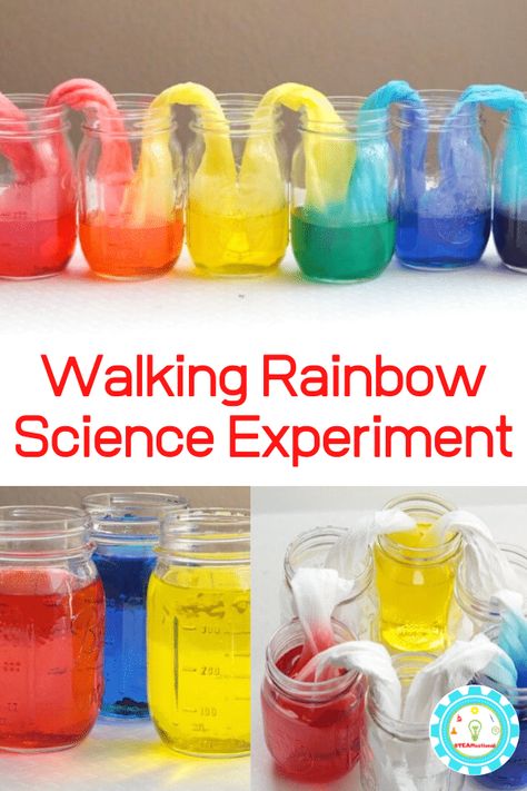 Walking Rainbow Experiment, Rainbow Science Experiment, Walking Water Experiment, Spring Science Experiments, Spring Stem Activities, Summer Science Experiments, Rainbow Science, Water Science Experiments, Walking Rainbow