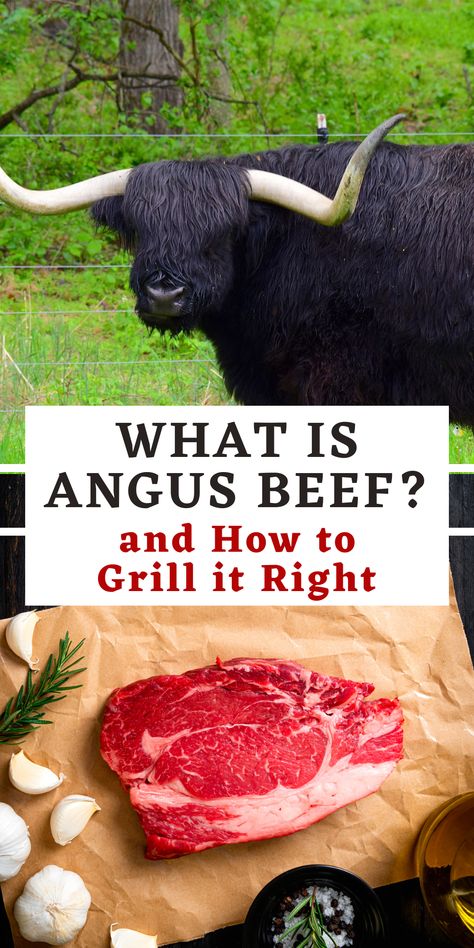 Read this guide and learn what is Angus beef and how to get the certified product. Angus is usually well marbled and perfect on the grill or smoker. Angus Beef Recipes, Beef Chuck Steaks, Recipes By Ingredients, Angus Steak, Grilled Beef Recipes, Chuck Steak, Beef Steak Recipes, Bbq Dishes, Prime Beef