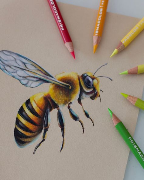 Colored Pencil Drawing Animals, Colored Pencil Animal Art, Animal Drawings Colored Pencil, Colored Pencil Animals, Realistic Colour Pencil Drawings, Colour Pencil Drawing Ideas, Color Pencil Art Realistic, Realistic Drawings Colored Pencils, Pencil Colour Drawing